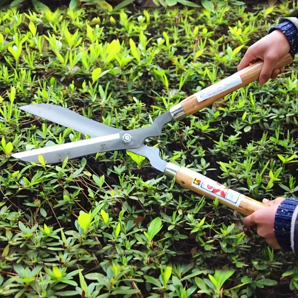 Carbon Steel Hedge Shears with 11-Inch Straight Blades and Paired Walnut Handles for Shrub Trimming — image 3
