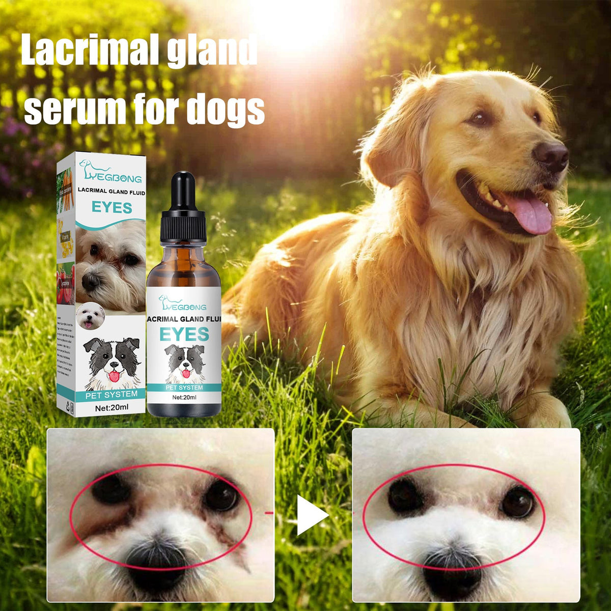 Tear Duct Serum For Dogs, Cats And Dogs Removal Eye Poop Pet Topical Eye Tear Stain Serum - V.I.P Digital Presence