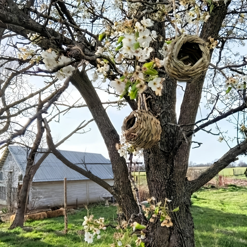 Hummingbird Nest House Handwoven Outdoor Garden Patio Bird Nest – Spherical Design Comfortable Nesting Shelter for Small Bird