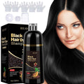 RILSIC 3-in-1 Gray Hair Color Shampoo with Plant Squalene – 100% Gray Coverage Wash & Condition Instant Results, No Mix No Am