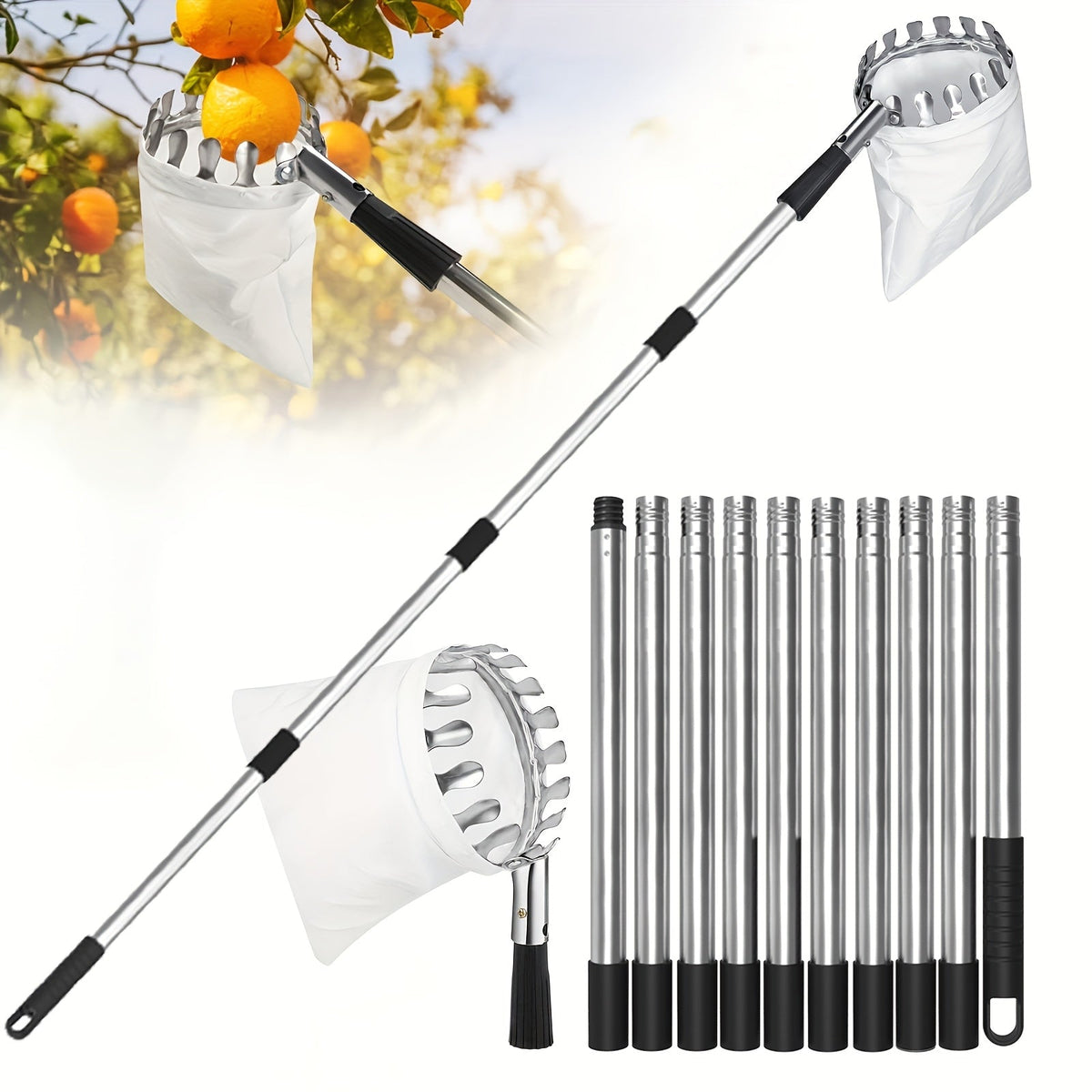 Fruit Picker | Telescoping Pole with Basket Apple Mango Orange Tree — image 2