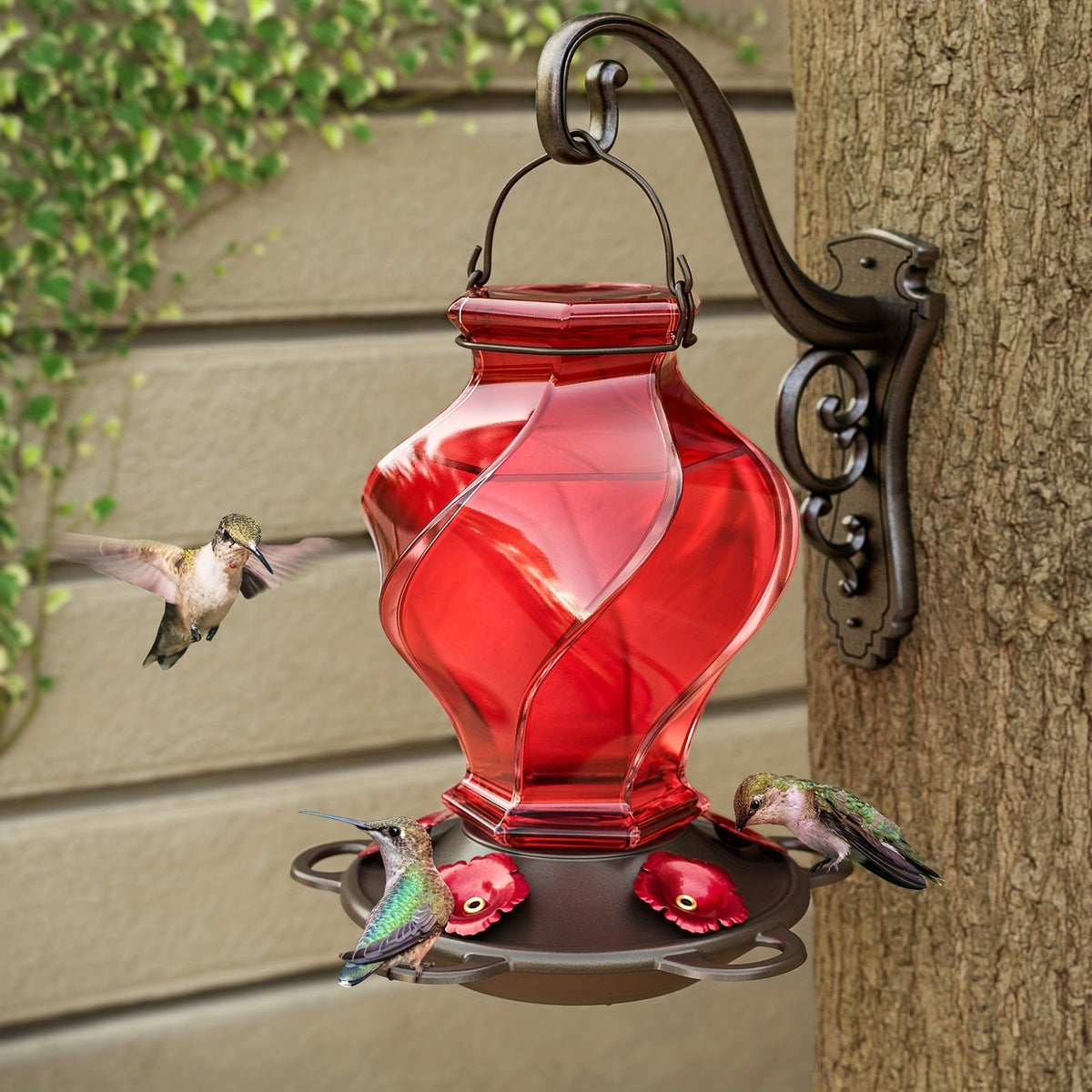 Hummingbird Feeder for Garden, Yard and Pest Management, with the Listed Configuration, for Everyday Use and Organized Storag