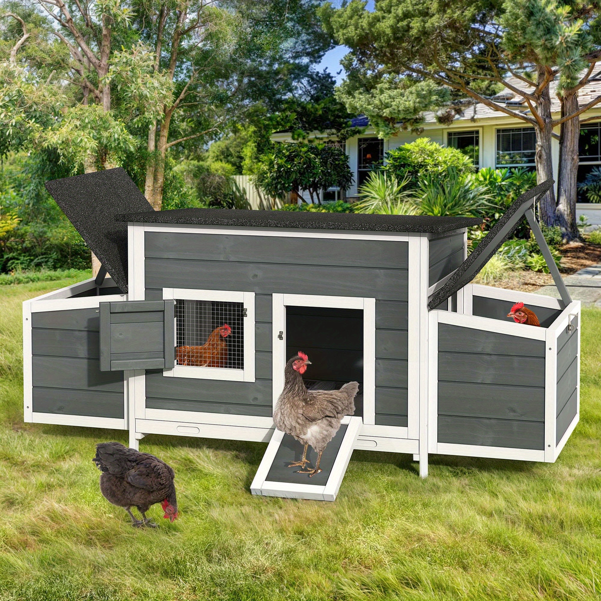 Wooden Hen House with 67in Frame, Two Nest Boxes, Ramp and Gray or Brown Two-Tone Outdoor Finish — image 16