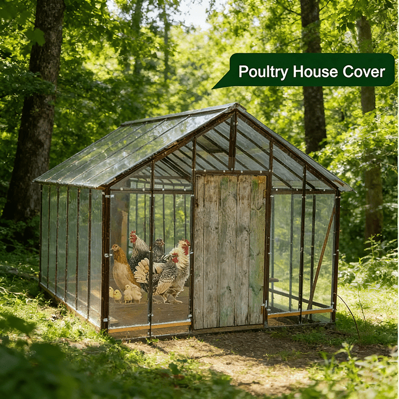 Clear Tarp Heavy Duty Transparent | Patio Carport Chicken Coop Cover — image 4