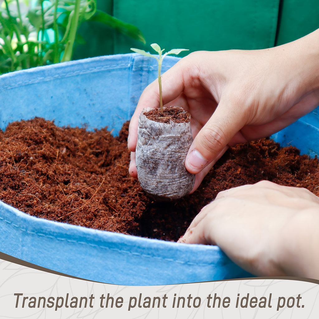 Peat Pellets Seed Starter 35mm Compressed | 50/100pcs Expandable Coir Discs for Seedlings Vegetables Flowers Herbs | Indoor O