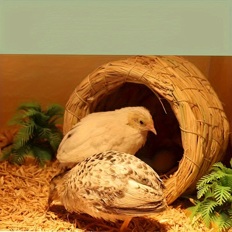 Bird Nest Handwoven Straw Soft Lining Chicks Small Pets Indoor Outdoor — image 2