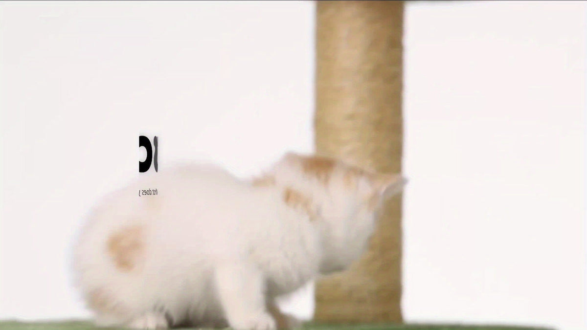 55-Inch Plant-Style Cat Tree with Platforms, Round Pass-Through Perch, Hammock and Four Colors — image 3