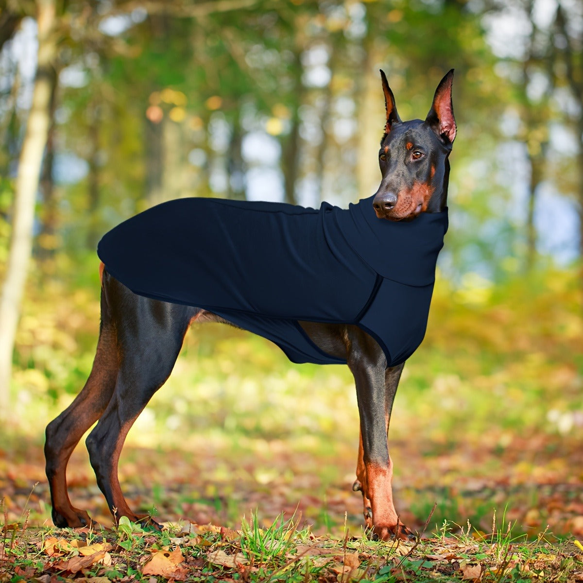 High-Neck Pullover Dog Coat in Burgundy, Navy or Fern Green with Selected XL Through 4XL Sizes — image 15