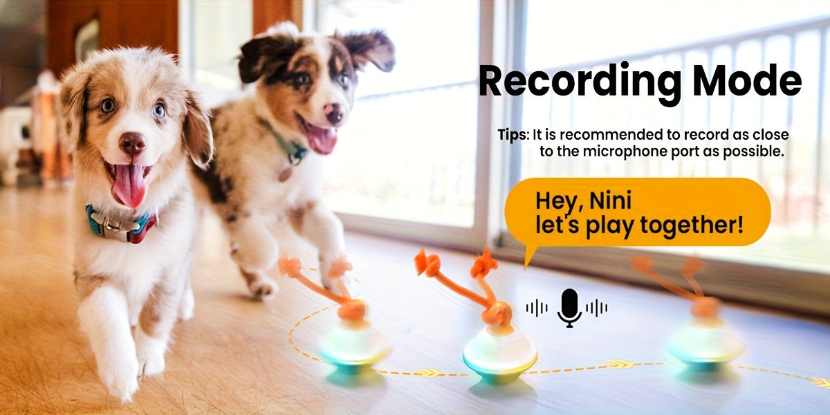 Dog Toy Motion-Activated Auto-Rolling Ball with Voice Recording, Rope and White or Gray Options — image 13