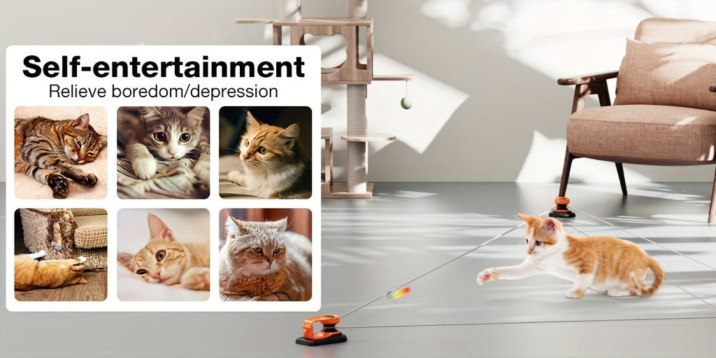 Cat Toy Remote-Control Lure Machine with Track Clips, Mouse Squeak, Feather Lures and Three Colors — image 6