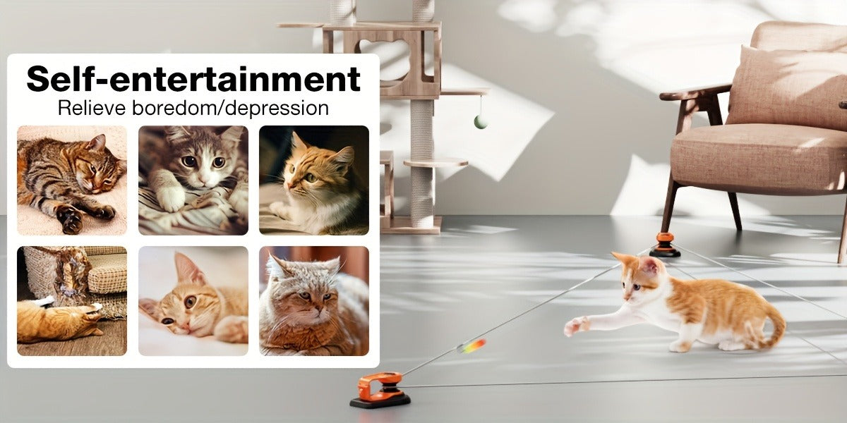 Cat Toy Remote-Control Lure Machine with Track Clips, Mouse Squeak, Feather Lures and Three Colors — image 6