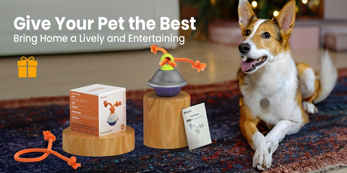Dog Toy Motion-Activated Auto-Rolling Ball with Voice Recording, Rope and White or Gray Options — image 3