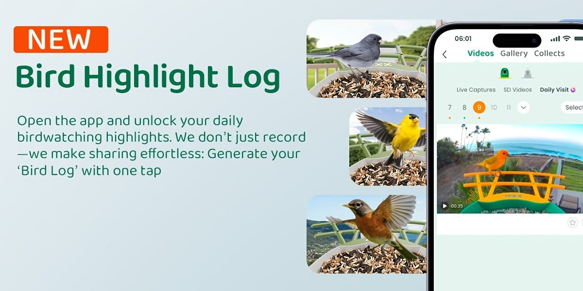 Smart Bird Feeder with Camera AI Bird Identification, 2K HD Live View, Auto Capture & Color Night Vision — image 12