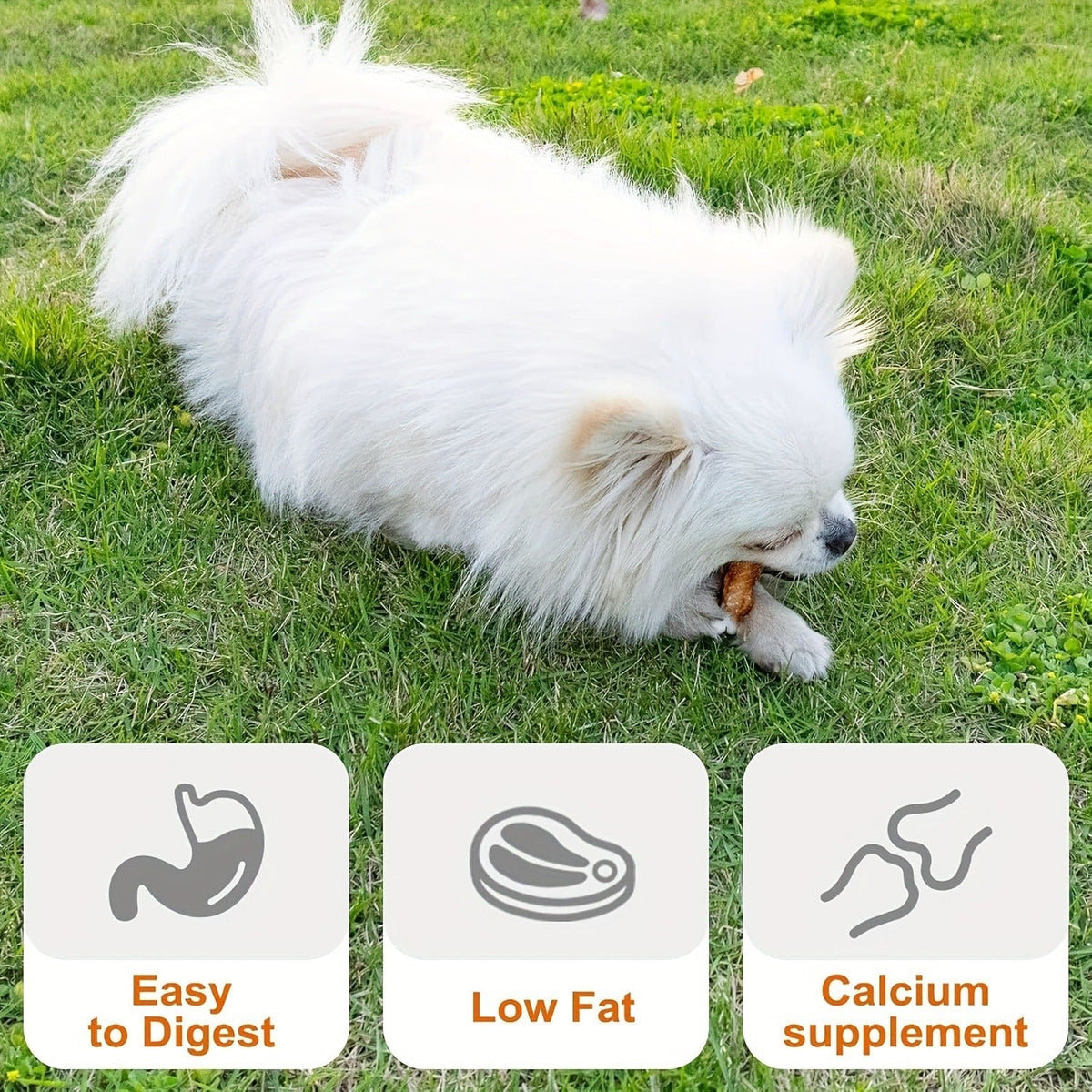 Dog Treats Duck-Wrapped Chew Pieces or Dried Chicken Breast in Two 203g Flavor Options for Dog Reward Use — image 10