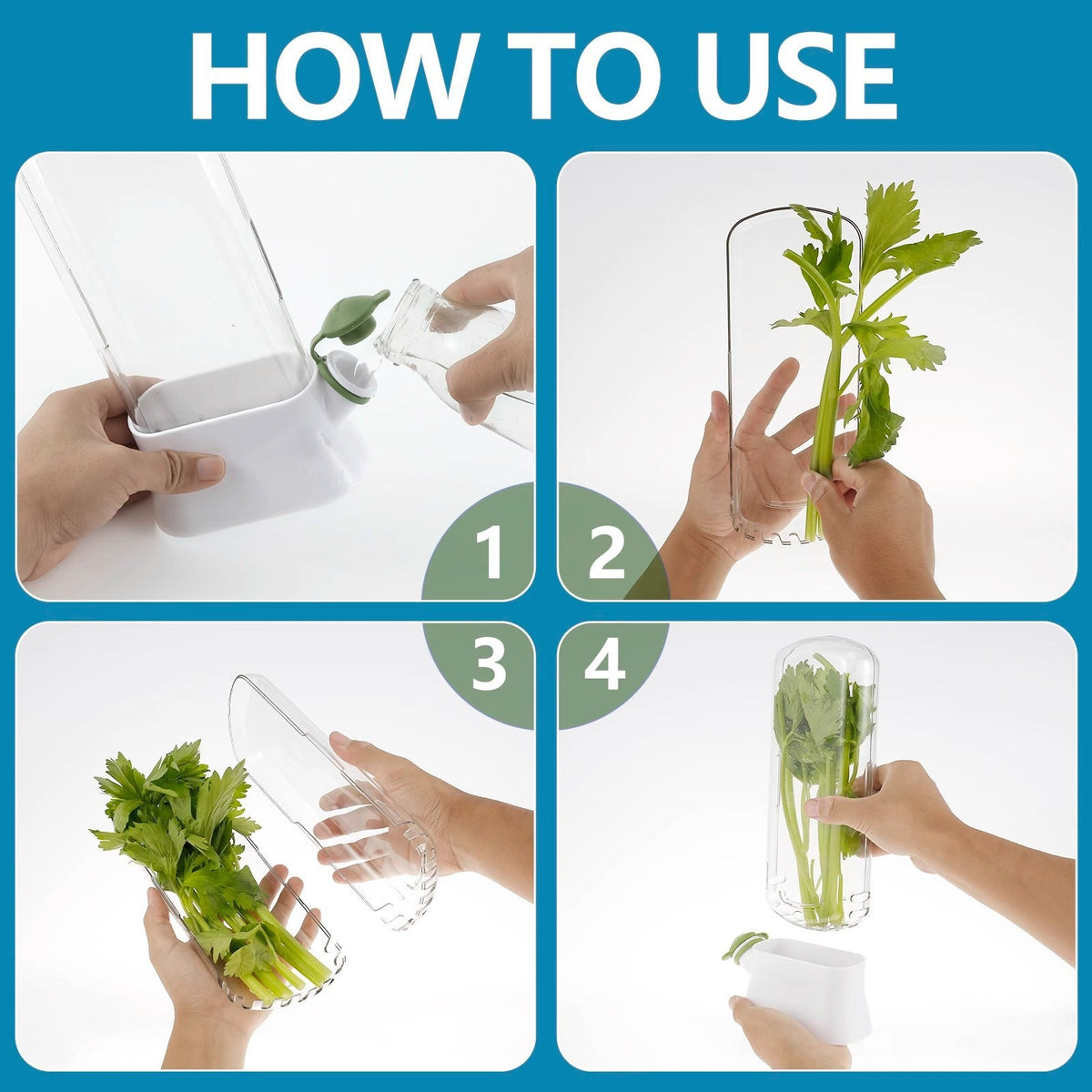Vanilla vegetable fresh-keeping box pressure resistant fresh-keeping device creative fresh-keeping cup