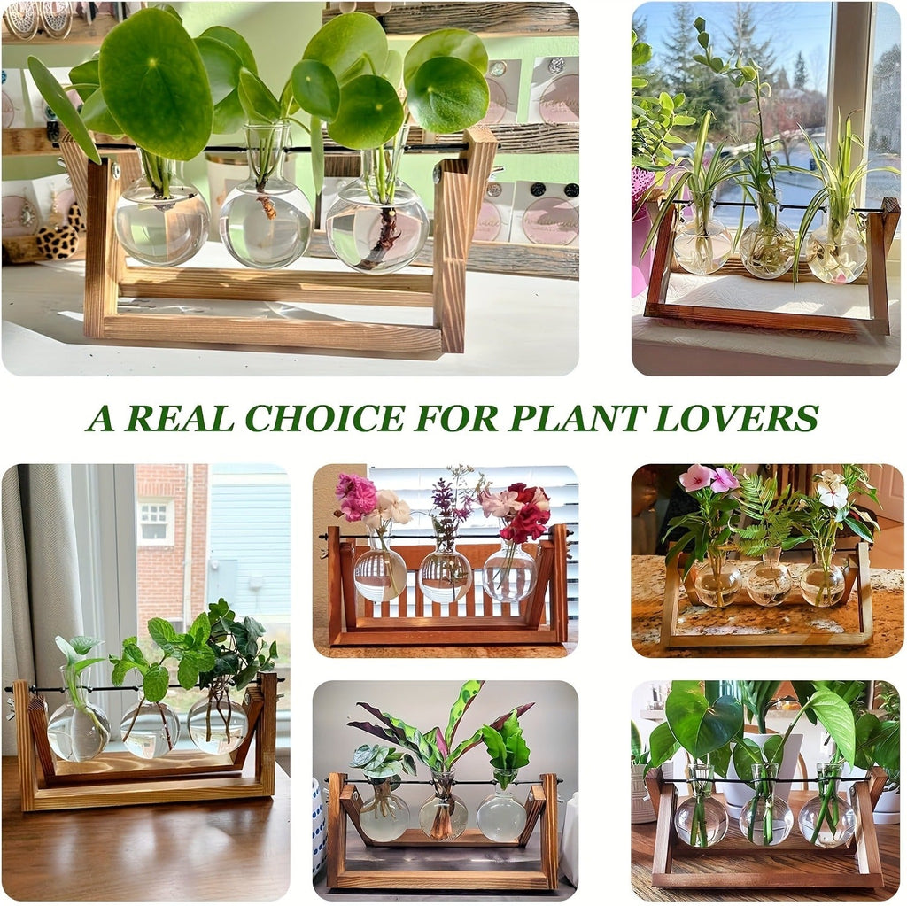 Propagation Station 3 Bulb Glass Vase with Wooden Stand – Hydroponic Plant Terrarium for Home Office Desk Decor — image 14