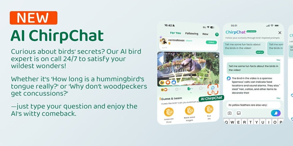 Smart Bird Feeder with Camera AI Bird Identification, 2K HD Live View, Auto Capture & Color Night Vision — image 13