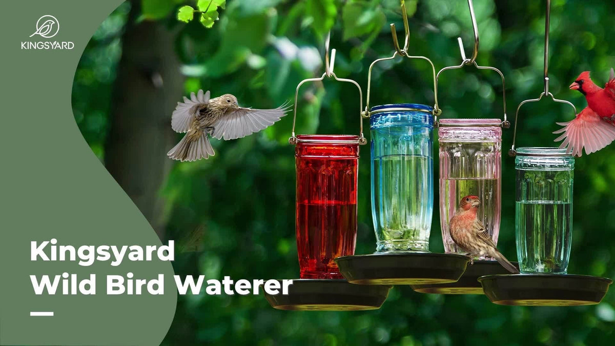 Bird Waterer Outdoor Hanging Glass Wild Bird Water Dispenser with Metal Handle – Gravity Fed Garden Yard Patio Tree Bird Feed