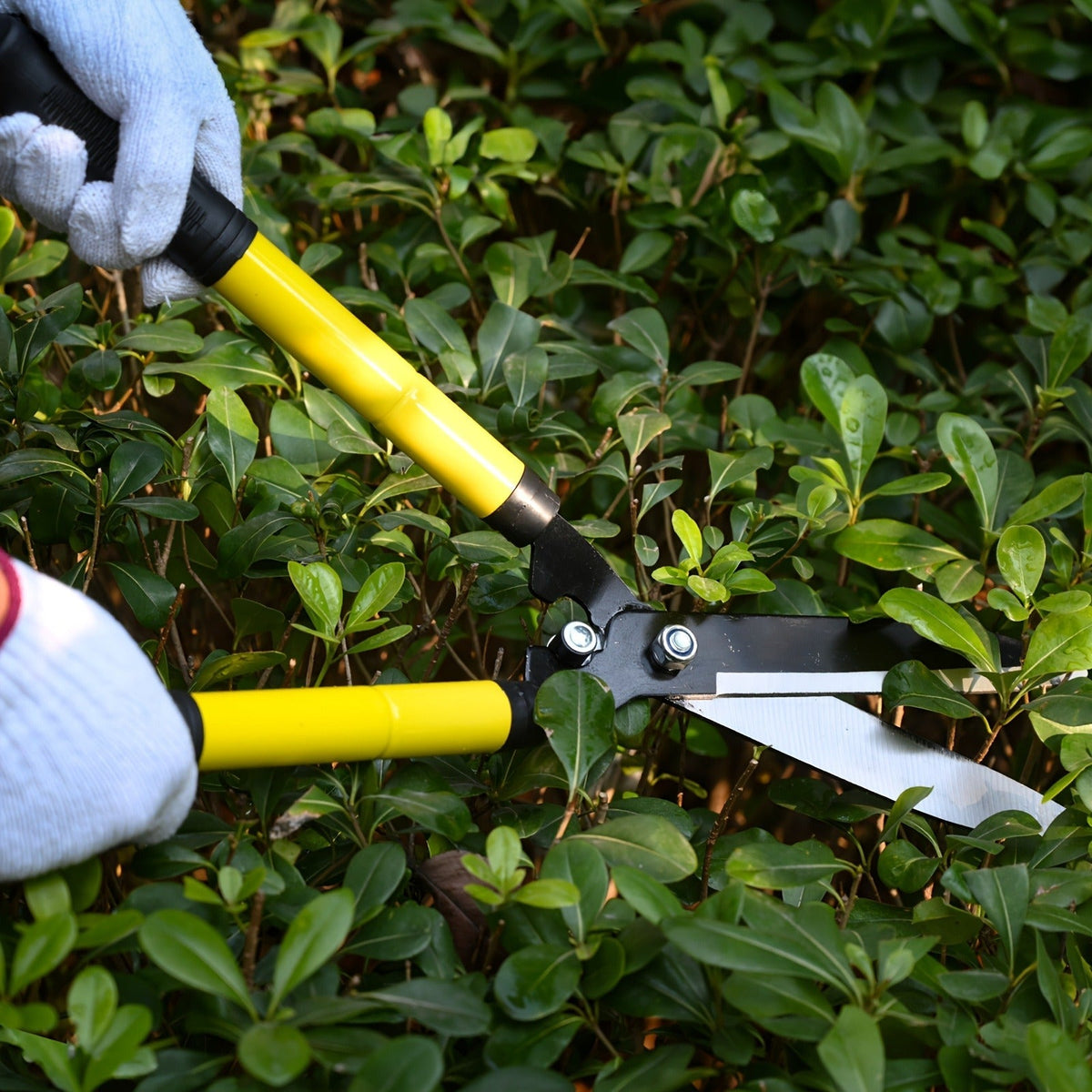 Long Reach Pruning Shears 18-38 Inch Extendable – Non-Stick Steel Blades Cut 2" Branches, Shock-Absorbing Handle — image 8