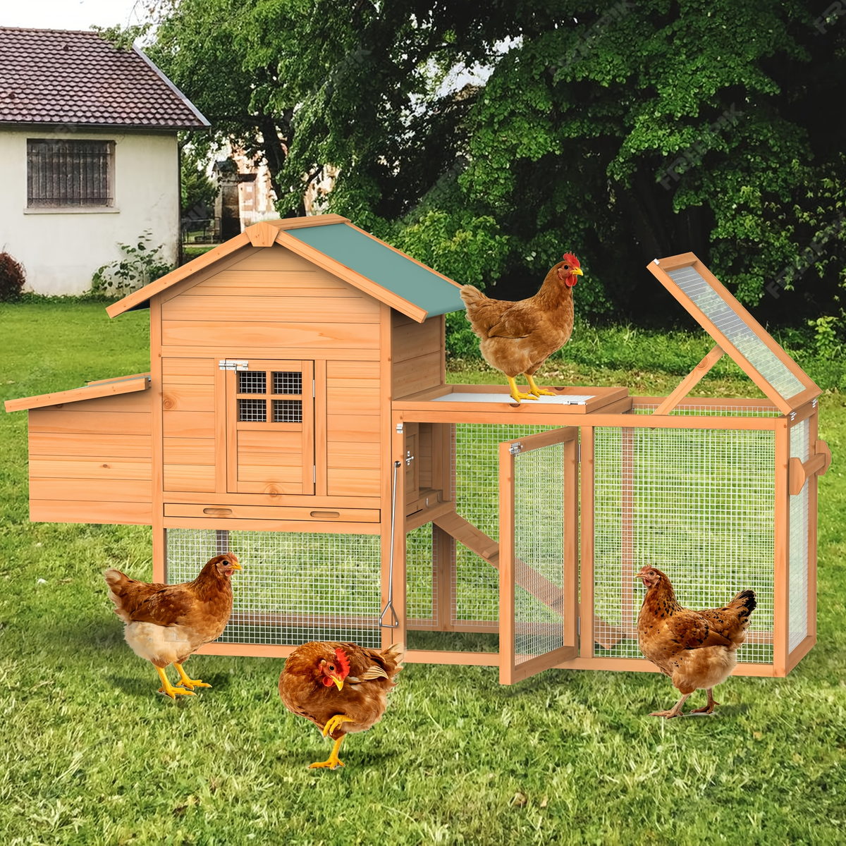 Portable Wooden Chicken Coop with Wheels, Nest Box and Wood Roof or Sunshine Board Run Option — image 12