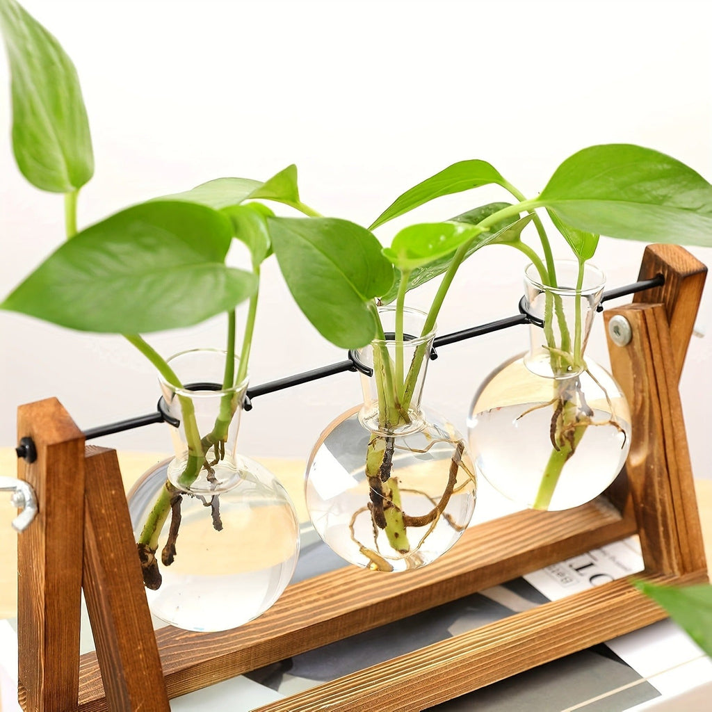 Propagation Station 3 Bulb Glass Vase with Wooden Stand – Hydroponic Plant Terrarium for Home Office Desk Decor — image 16
