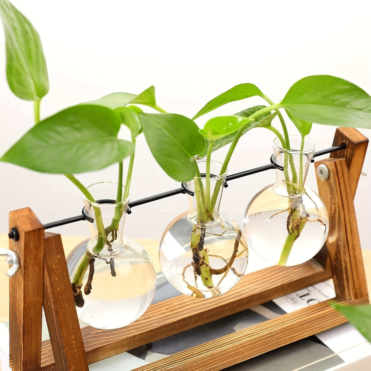 Propagation Station 3 Bulb Glass Vase with Wooden Stand – Hydroponic Plant Terrarium for Home Office Desk Decor — image 16