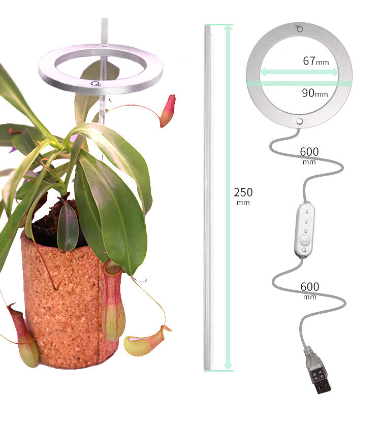 LED Grow Light Full Spectrum Angel Ring Phyto Grow Lamp USB Phytolamp For Plants 5V Lamp Indoor Flower Greenhouse Plant Seedling
