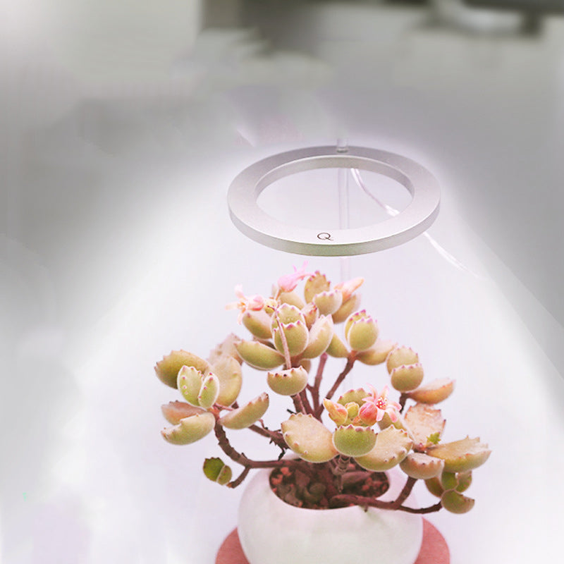 LED Grow Light Full Spectrum Angel Ring Phyto Grow Lamp USB Phytolamp For Plants 5V Lamp Indoor Flower Greenhouse Plant Seedling