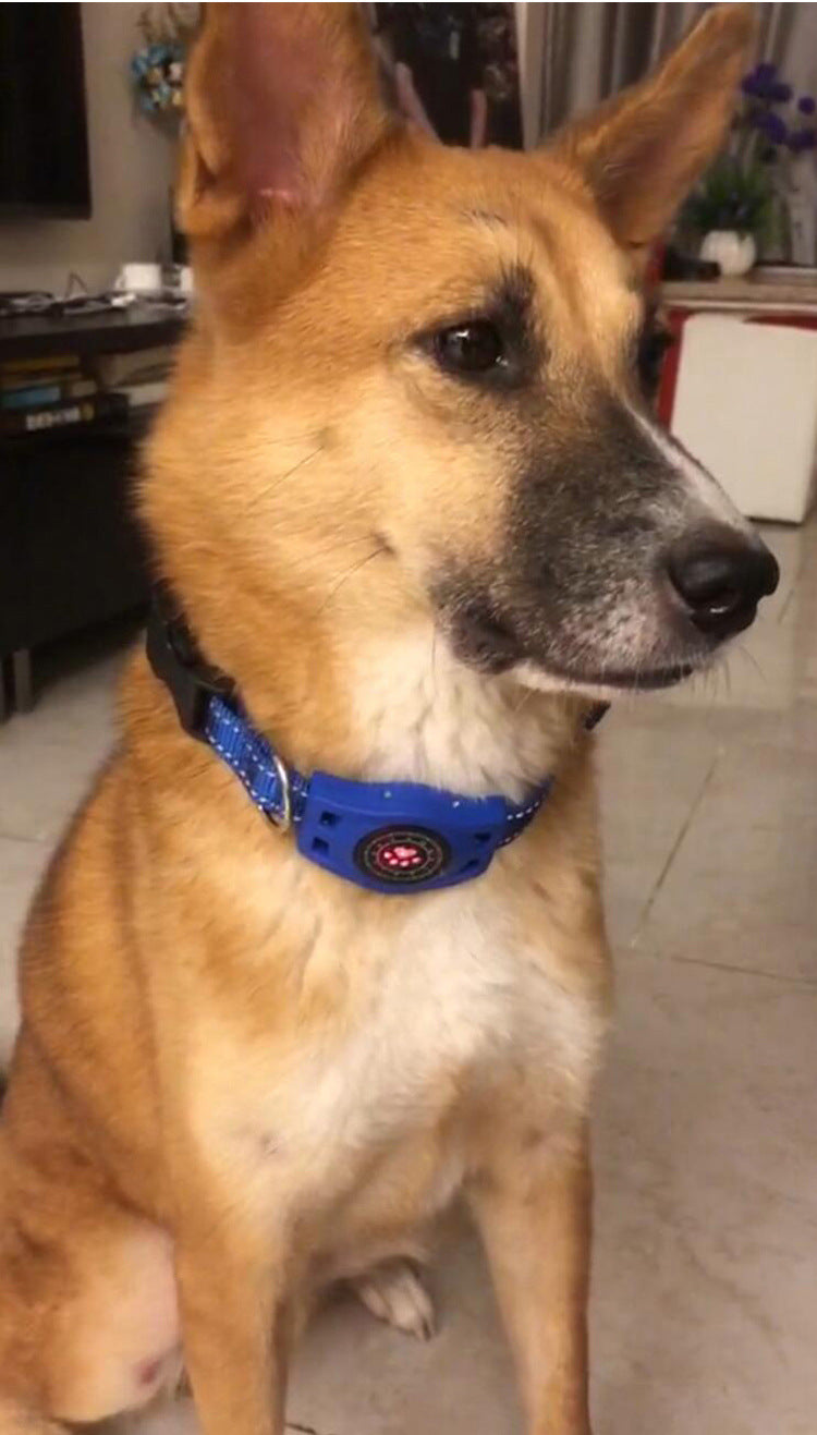 Pet Locator GPS Global Locator, Pet Locator