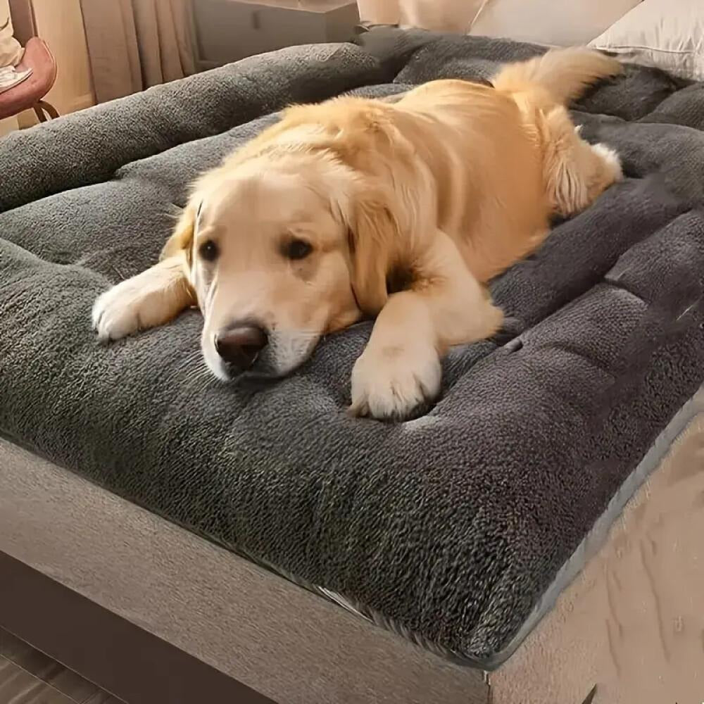 Rectangular Plush Dog Sofa Bed with Raised Bolsters, Gray L Checkout Option and Two-Surface Presentation — image 4