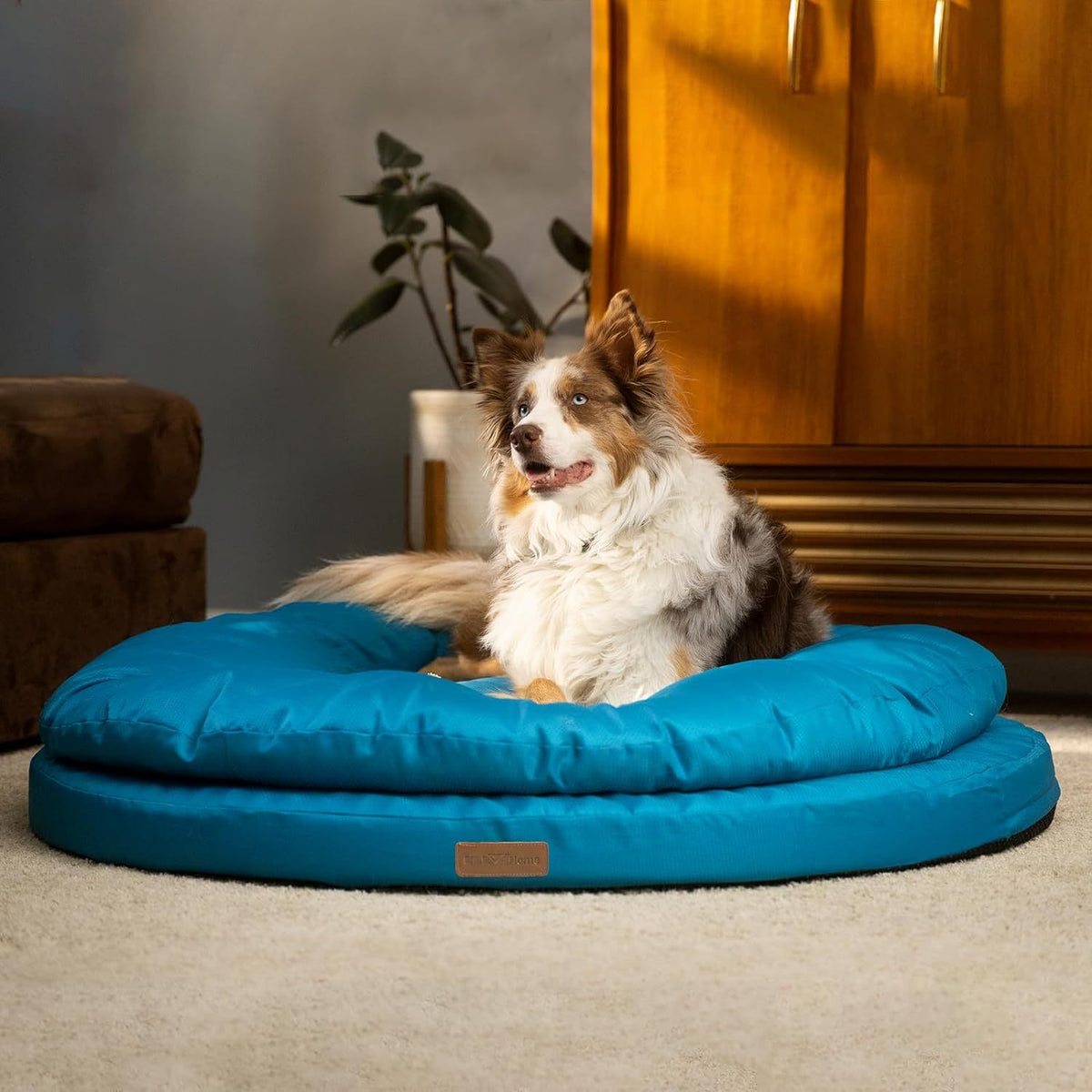Round Memory Foam Dog Bed with Dual-Layer Cushion and Machine-Washable Removable Cover in 36- or 42-Inch Sizes — image 4