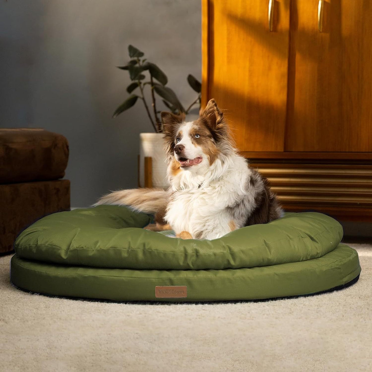 Round Memory Foam Dog Bed with Dual-Layer Cushion and Machine-Washable Removable Cover in 36- or 42-Inch Sizes — image 5