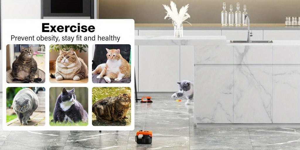 Cat Toy Remote-Control Lure Machine with Track Clips, Mouse Squeak, Feather Lures and Three Colors — image 13
