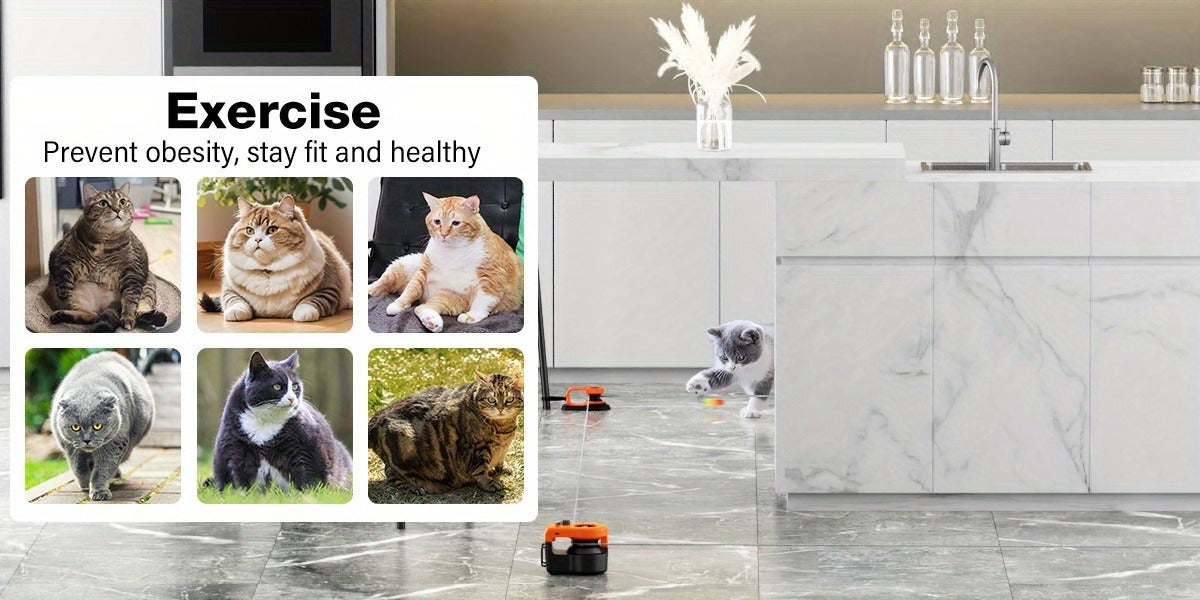 Cat Toy Remote-Control Lure Machine with Track Clips, Mouse Squeak, Feather Lures and Three Colors — image 13