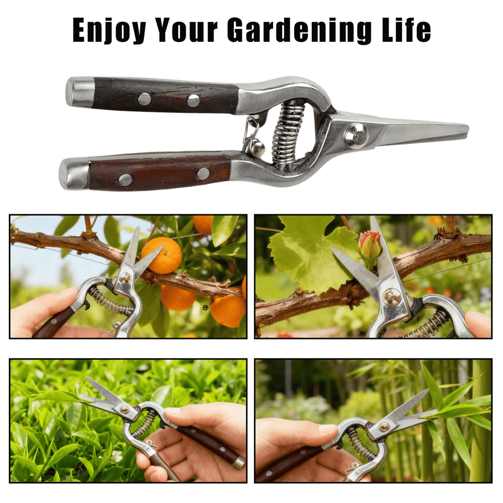 Garden Scissors 2-Pack Pruning Shears Set Curved and Straight Bypass Blades 8-Inch Ultra Sharp Plant for Garden, Patio and Ya