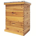Langstroth Beehive Kit 3 Layer Beeswax Coated 2 Deep Boxes & 1 Medium Super — No Frames — image 1