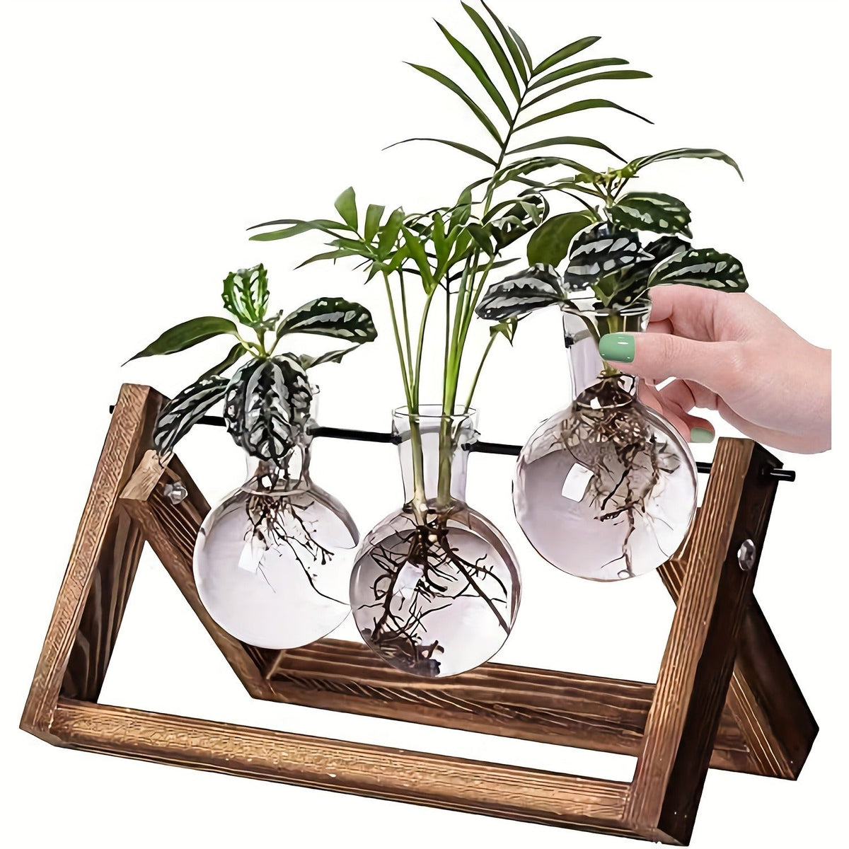 Propagation Station 3 Bulb Glass Vase with Wooden Stand – Hydroponic Plant Terrarium for Home Office Desk Decor — image 2