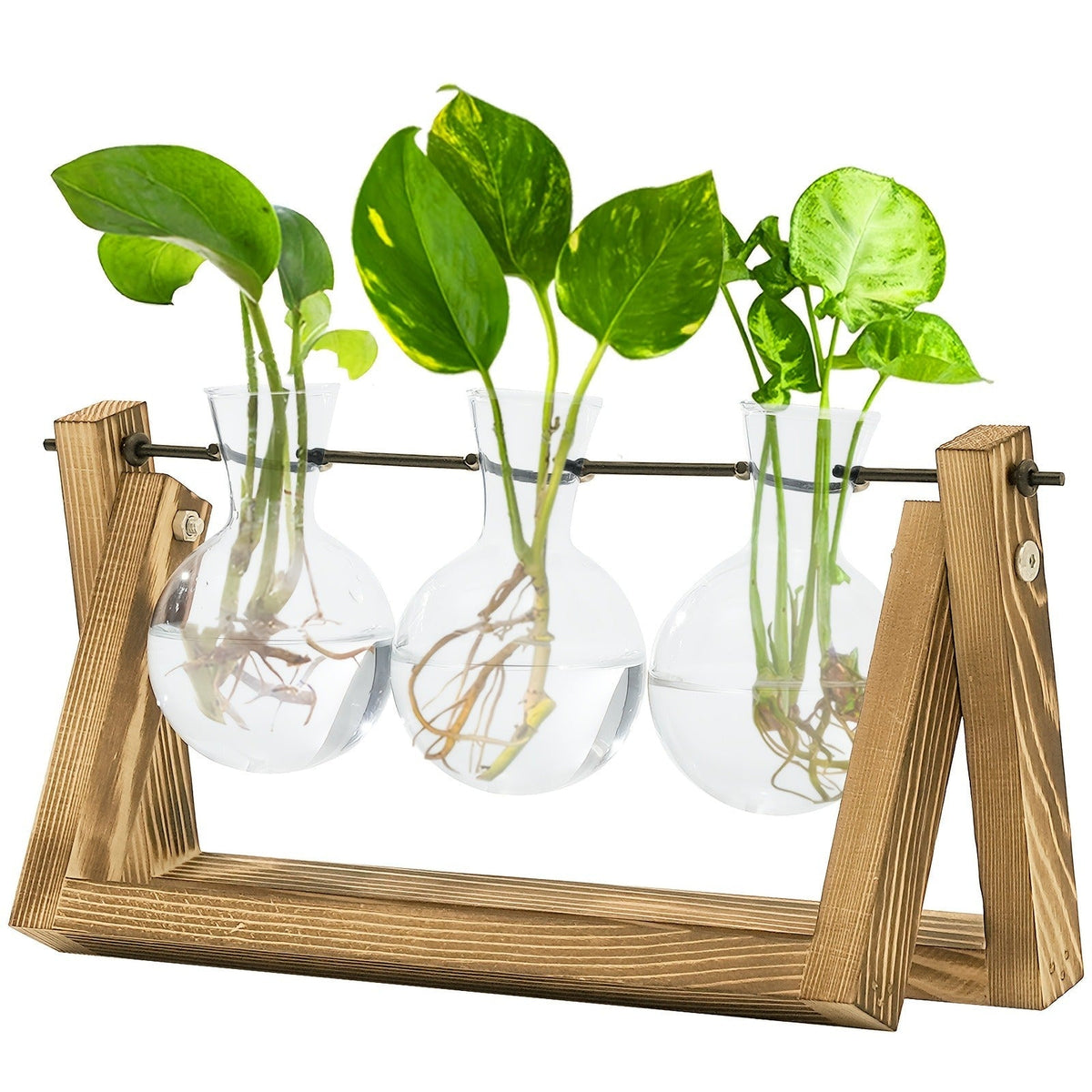 Glass Terrarium Heart Shaped Hydroponic Vase with Wooden Stand – Elegant Plant Propagation Station for Home Decor — image 2