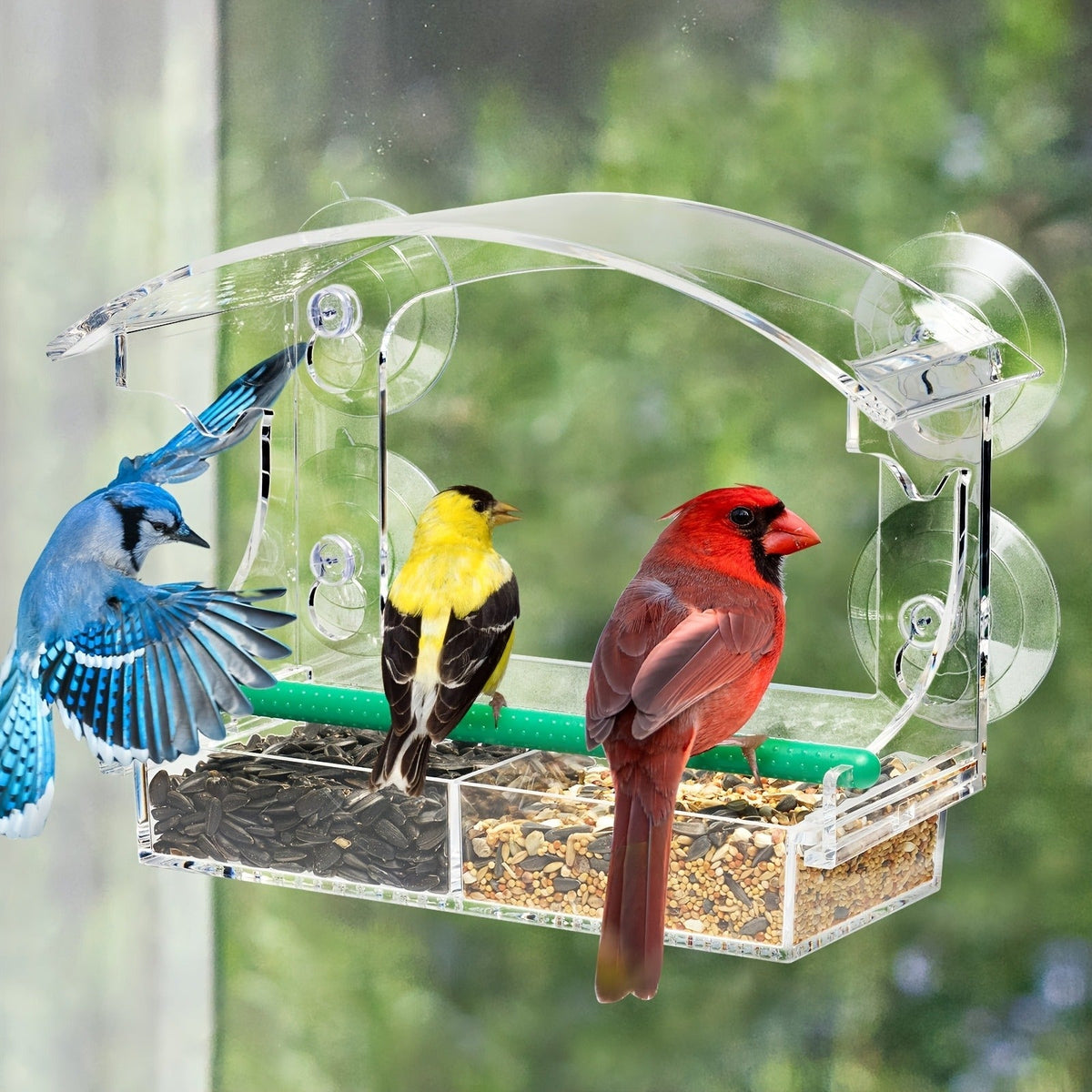 Window Bird Feeder - Clear Acrylic Suction Cup Bird Feeder for Birdwatching — image 6