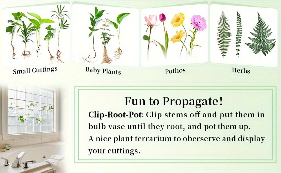 Hanging Planter | Glass Terrarium Hydroponic Air Plant Wall Decor Home — image 8