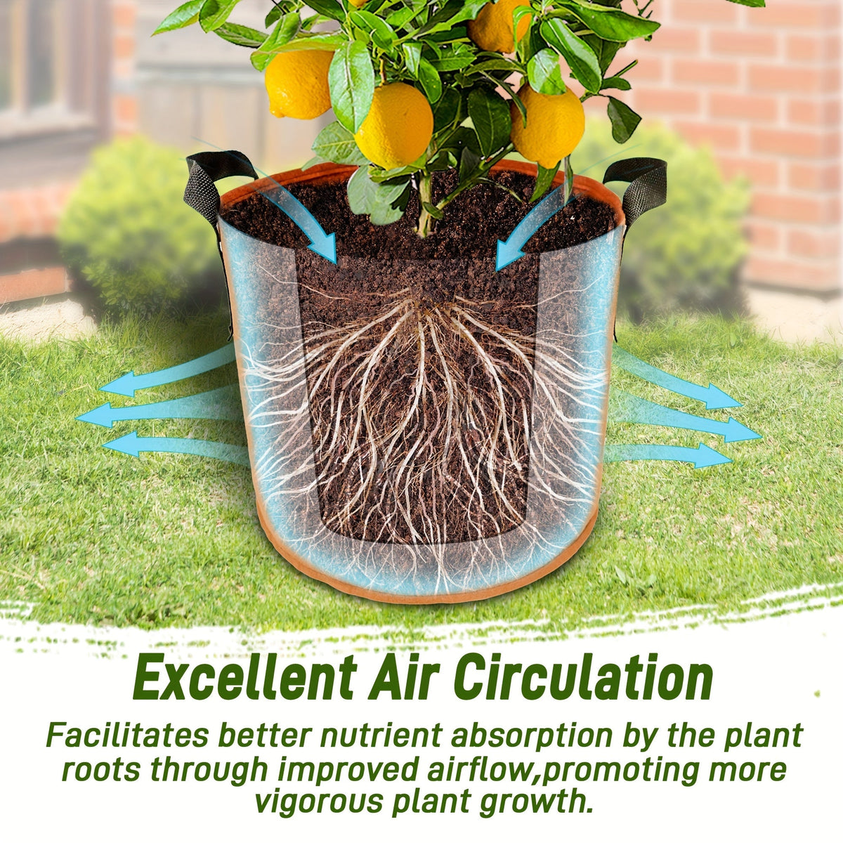 5/7/10/15 Gallon Plant Grow Bags, 7Pack Colourful Fabric Planters Plant Pots Garden Bags To Grow Vegetables With Reinforced H