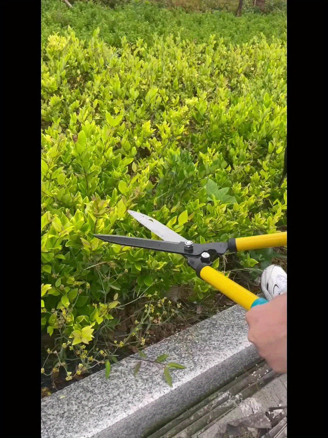 Pruning Shears, Garden Scissors Branch Hedge Trim for Garden, Patio and Yard Use, with the Listed Configuration — image 7