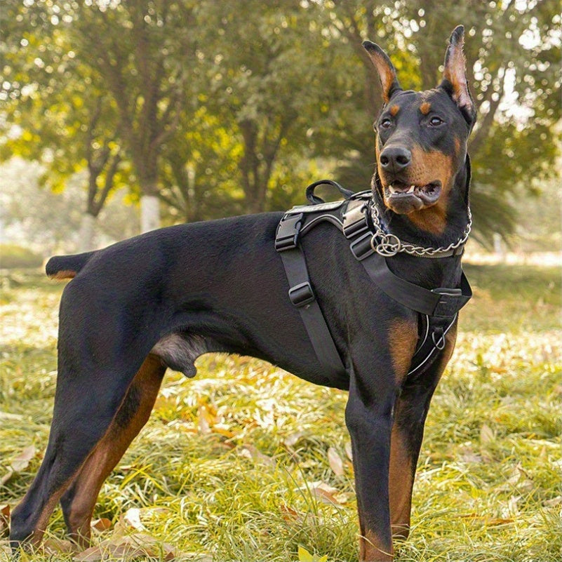Compact Patch Dog Harness in Black and Three Green Styles with S, M, L and XL Size Options — image 2