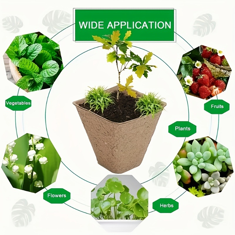 Peat Pots Seed Starter 100pcs Square Biodegradable Paper | Germination Trays with Peat Substrate for Herbs Cacti Flowers | In