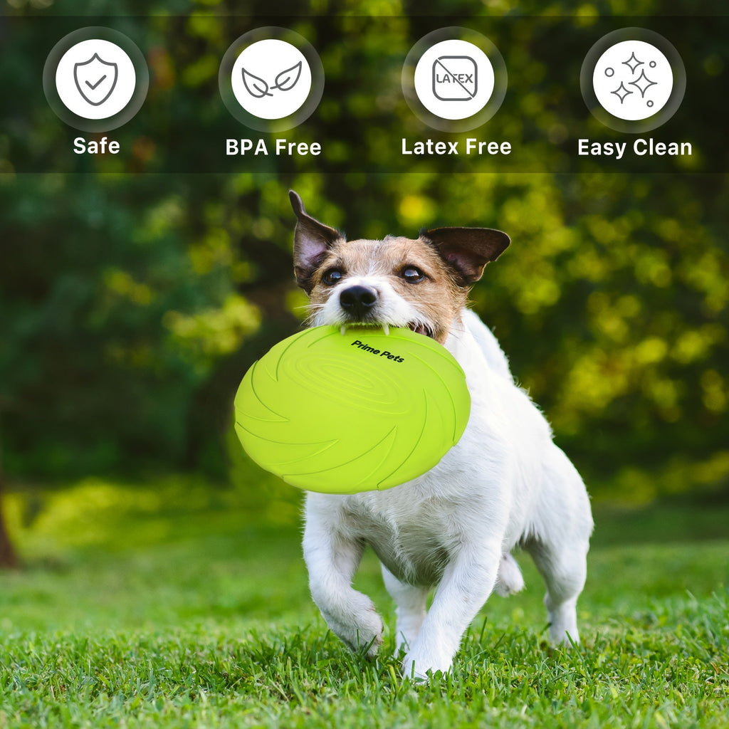 Dog Toys Two-Pack Floating Natural Rubber Flying Discs in Green and Orange for Fetch and Water Play — image 3