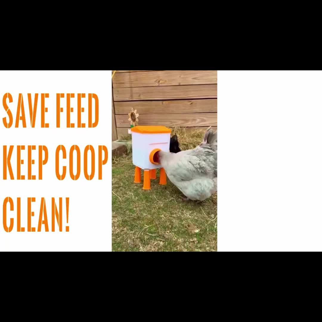 Chicken Waterer Float Ball 2 3 Gallon Feeder Combo Set for Garden, Patio and Yard Use, with the Listed Configuration — image 