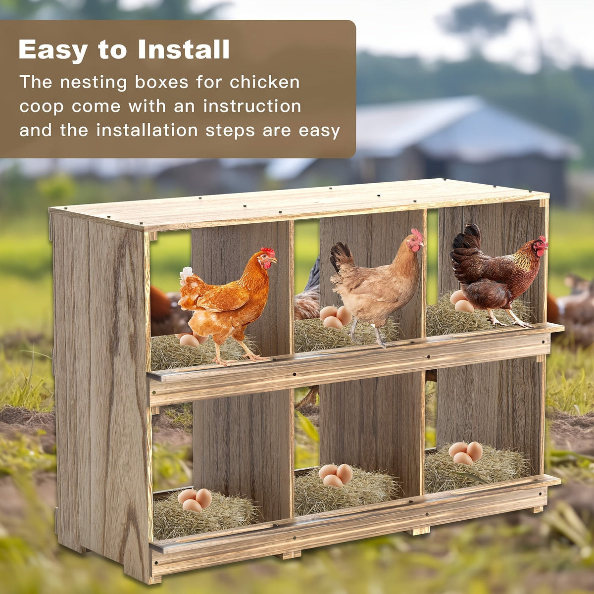 Chicken Nesting Box Wall Mount 4 Compartment Easy Egg Collection — image 3