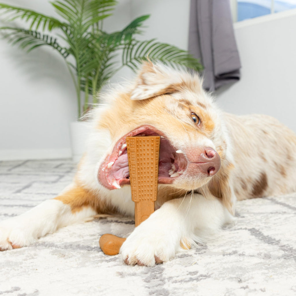 T-Shaped Textured Dog Chew Toy in Brown with Raised Nubs and Approx. 7.28 x 5.59-Inch Size — image 2