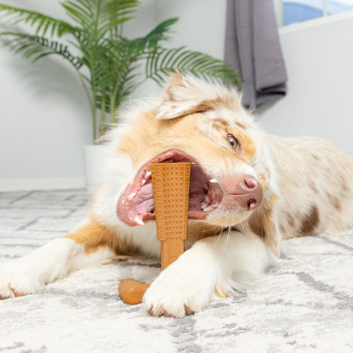 T-Shaped Textured Dog Chew Toy in Brown with Raised Nubs and Approx. 7.28 x 5.59-Inch Size — image 2