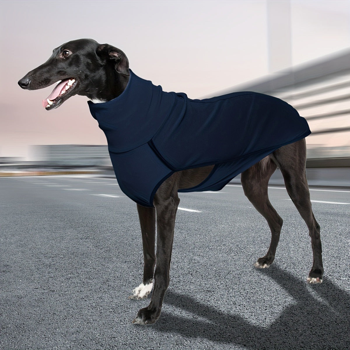 High-Neck Pullover Dog Coat in Burgundy, Navy or Fern Green with Selected XL Through 4XL Sizes — image 7